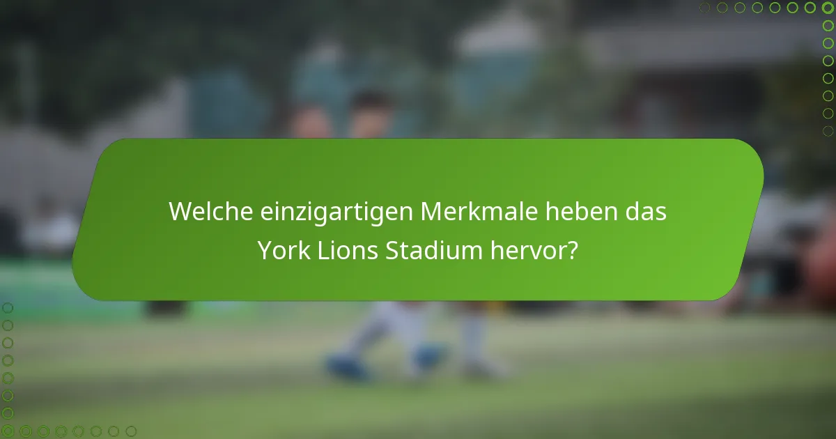 Welche einzigartigen Merkmale heben das York Lions Stadium hervor?