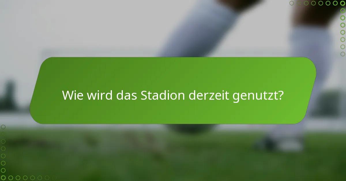 Wie wird das Stadion derzeit genutzt?